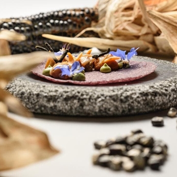 COLECCIÓN GRANTIO GRIS - Imagen 1