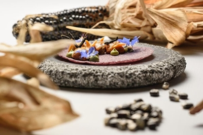 COLECCIÓN GRANTIO GRIS