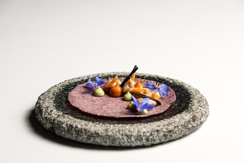 FINISTERRE - Imagen 2